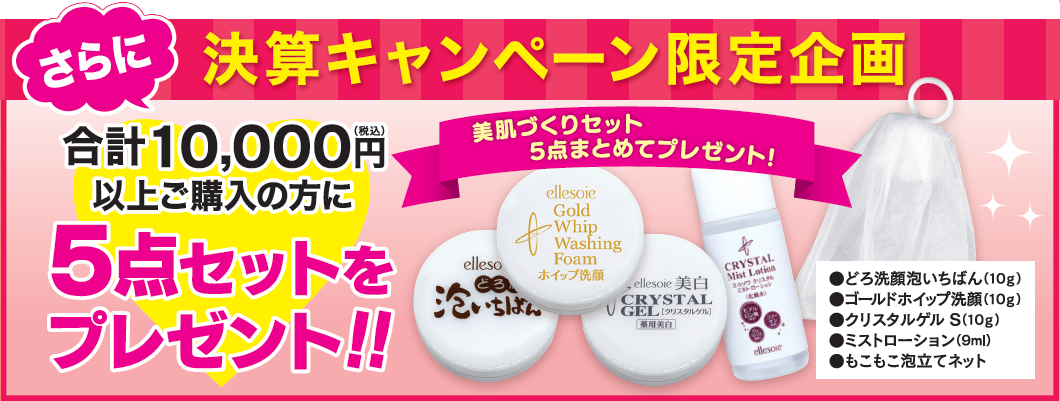 5点セットプレゼント