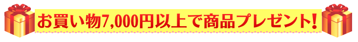 キャンペーン限定プレゼント